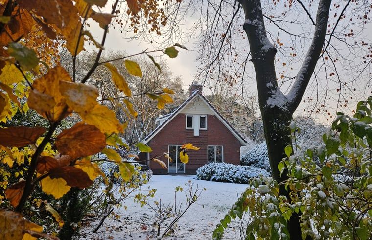 Winterse charme van Huisje in Garderen, vakantiehuis op de Veluwe, Gelderland.