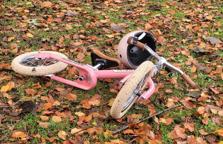 Kinderfietsje in de tuin van Huisje in Garderen, Veluwse vakantie, Gelderland.