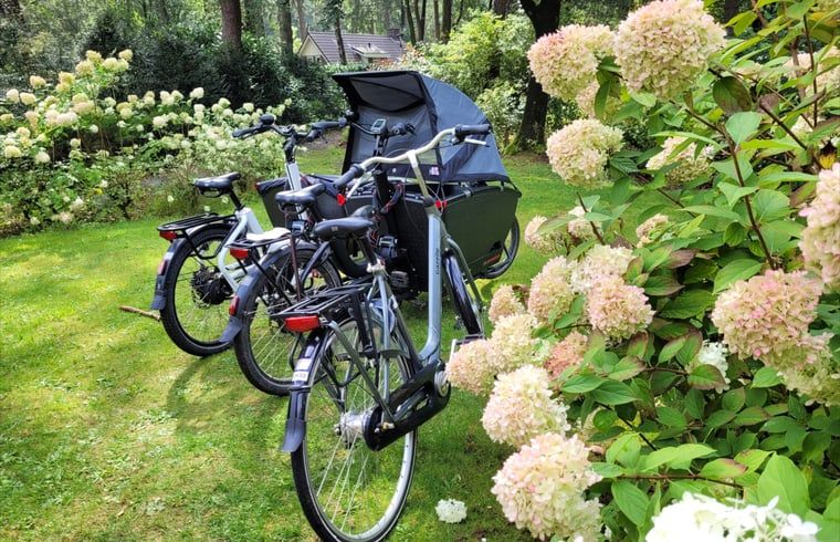 Fietsen in de tuin van Huisje in Garderen, vakantiehuis op de Veluwe, Gelderland.