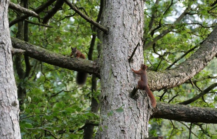 Welkomstmap in Huisje in Garderen, vakantieaccommodatie op de Veluwe, Gelderland.