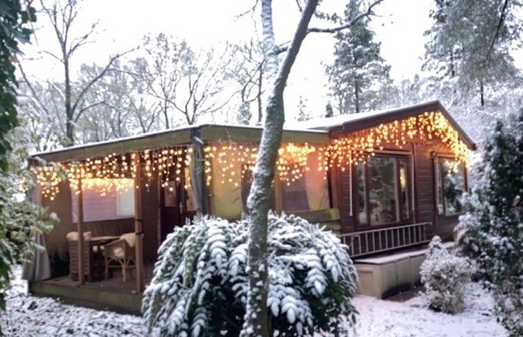 Vakantiehuisje in Garderen met sfeervolle veranda, omringd door besneeuwde natuur op de Veluwe, Gelderland.