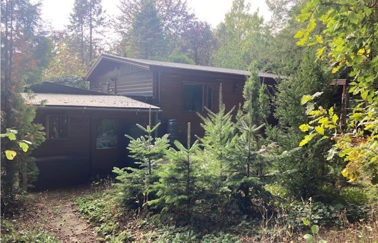 Vakantiehuisje in Garderen te midden van groene natuur op de Veluwe, perfect voor een rustige vakantie in Gelderland.