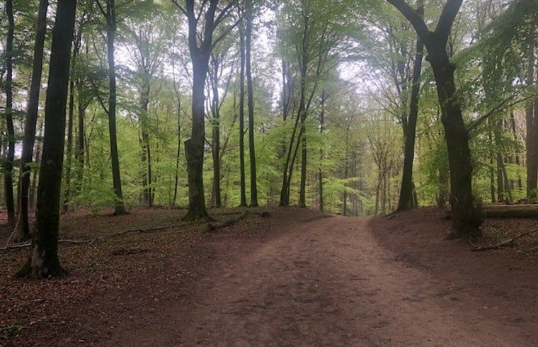 Verblijf 321766 - Vakantiewoning Veluwe - Vakantiehuisje in Garderen