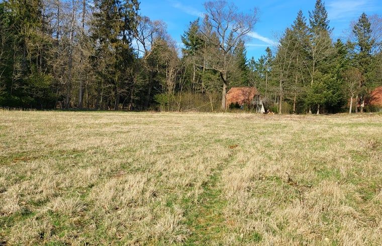 Open veld bij Huisje in Elspeet, vakantiehuis in de Veluwe, Gelderland, ideaal voor wandelingen.