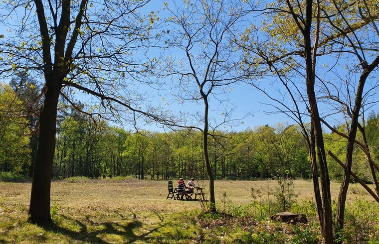 Picknickplaats nabij Huisje in Elspeet, vakantieverblijf op de Veluwe, Gelderland.