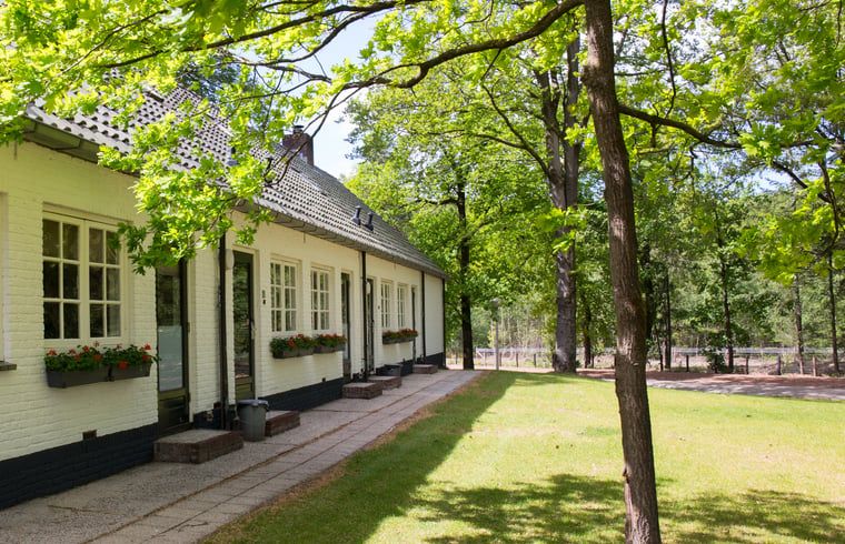 Unterkunft 321830 - Ferienhaus Veluwe - Vakantiehuis in Elspeet