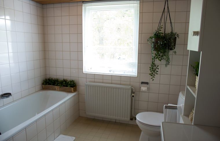 Unterkunft 321830 - Ferienhaus Veluwe - Vakantiehuis in Elspeet