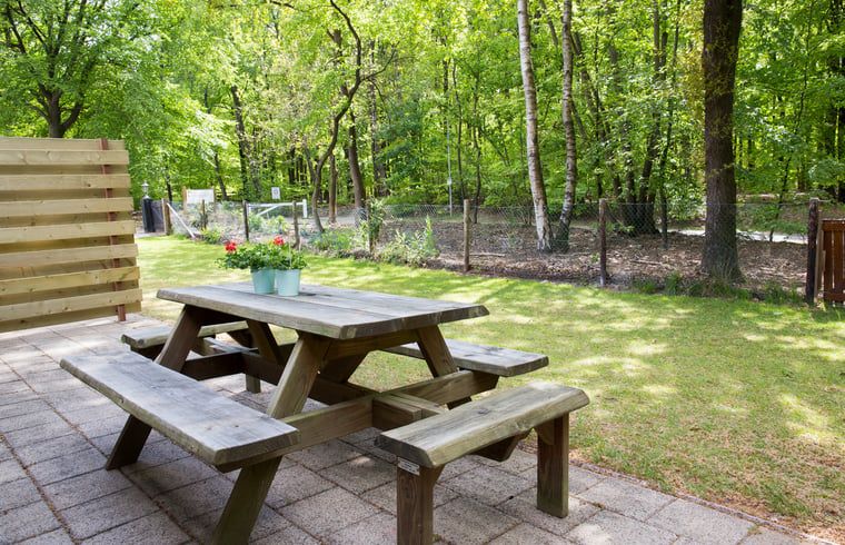 Gezellige woonkamer in Huisje in Elspeet, Veluwe, Gelderland met comfortabele banken en uitzicht op de groene natuur.