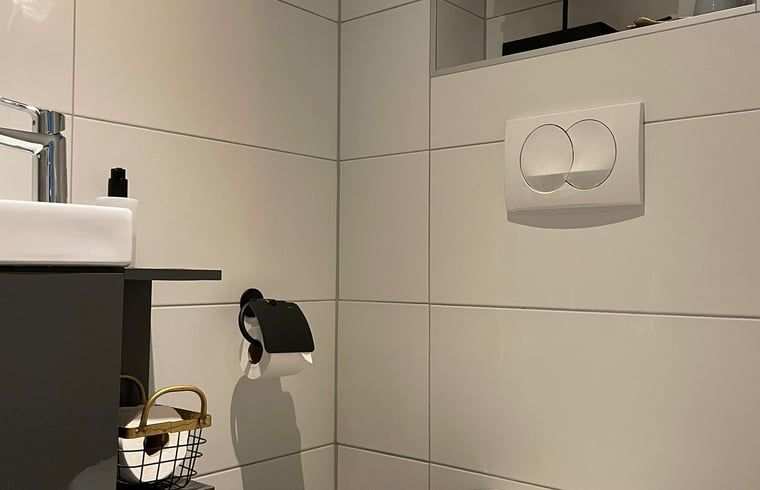 Modern bathroom in Holiday home in 't Harde, Veluwe, Gelderland, with sleek finish.