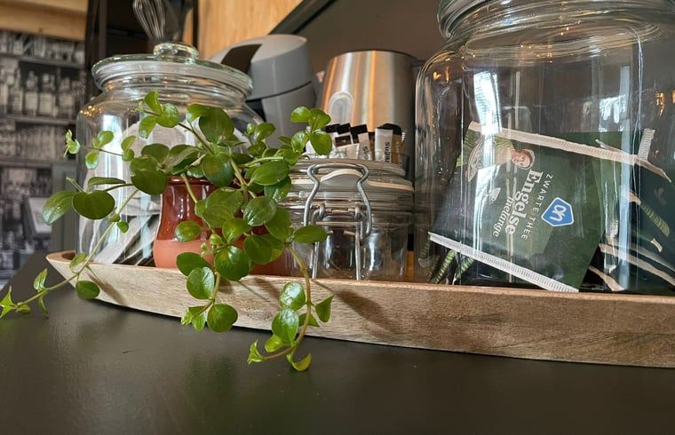 Coffee and tea facilities in Holiday home in 't Harde, Veluwe, ideal for a relaxing stay.