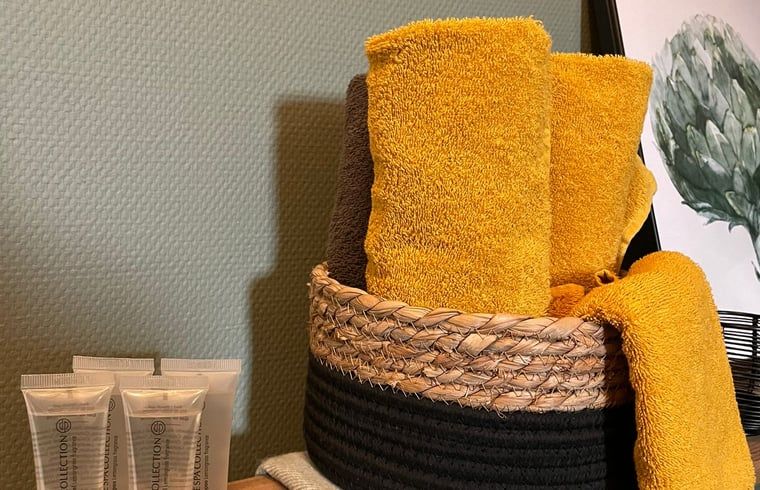 Luxury towels and toiletries in Holiday Home in 't Harde, Veluwe, for extra comfort.