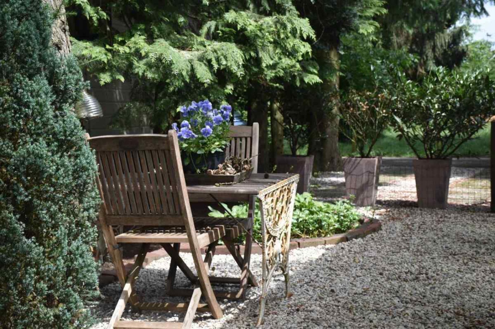 Cycling through nature near DG256 vacation home in Putten, Veluwe, Gelderland.