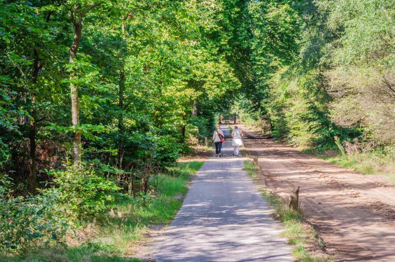 Sauna Drome near DG256 vacation home in Putten, Veluwe, Gelderland.