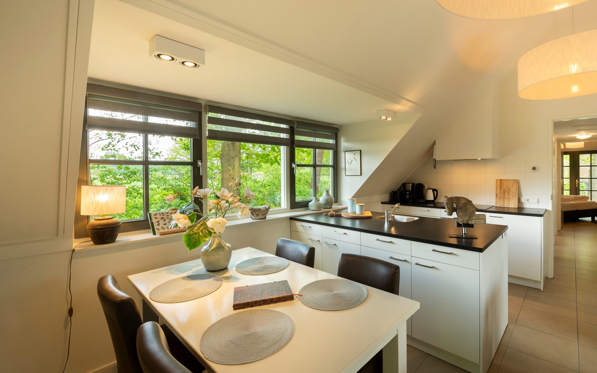 Stylish kitchen with view in Holiday home Sprielderbosch 12 'De Kuifmees', vacation home in Veluwe, Putten.
