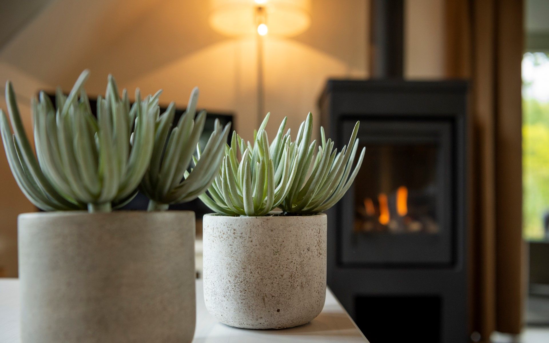 Stylish plants in Holiday home Sprielderbosch 12 'De Kuifmees', vacation home in the Veluwe, Putten.