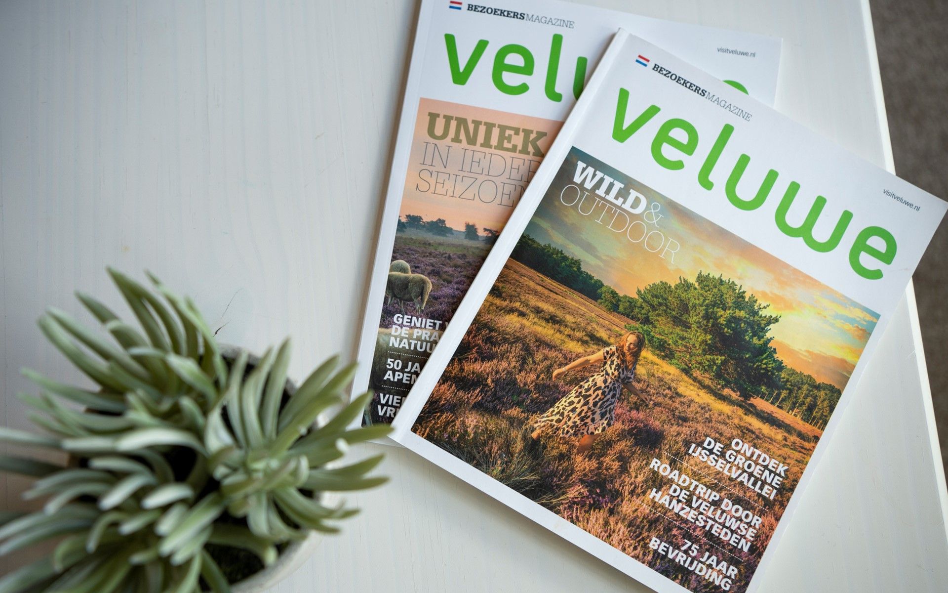 Veluwe magazines in Holiday home Sprielderbosch 12 'The Crested Tit', vacation home in the Veluwe, Putten.