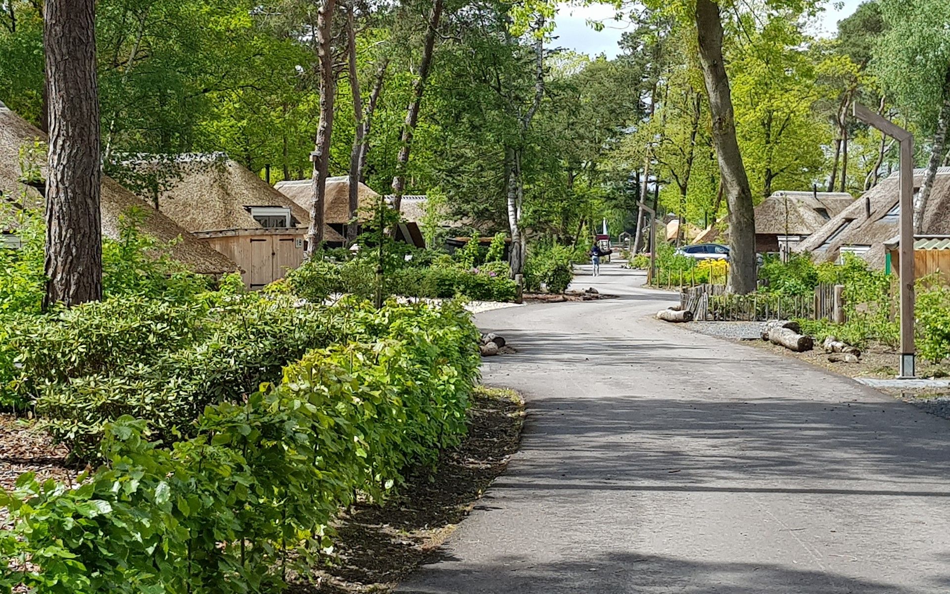 Picturesque road in Buitenplaats Sprielderbosch, location of Holiday home Sprielderbosch 12 'The Crested Tit', Veluwe, Putten.