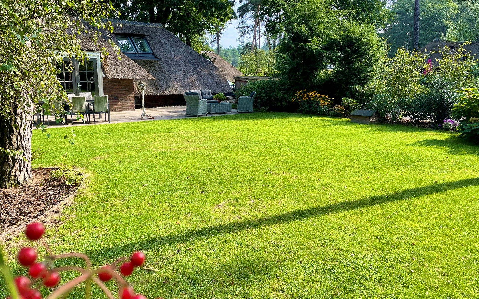 Gepflegter Garten und Terrasse im Ferienhaus Sprielderbosch 23 De Zwijnenstal, Ferienhaus an der Veluwe in Putten.