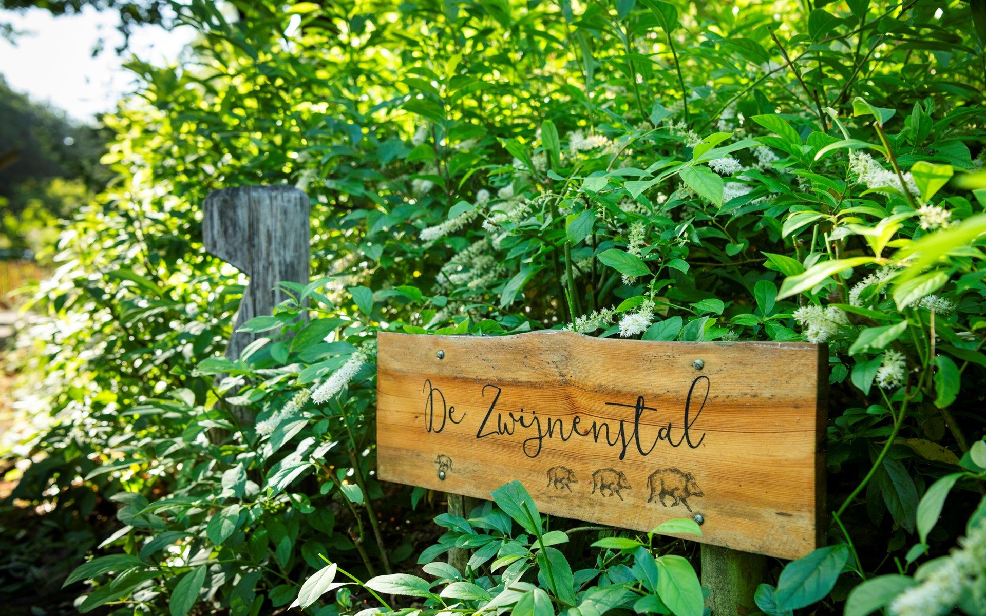 Schild mit Namen De Zwijnenstal bei Ferienhaus Sprielderbosch 23, Ferienhaus in Putten, Veluwe.