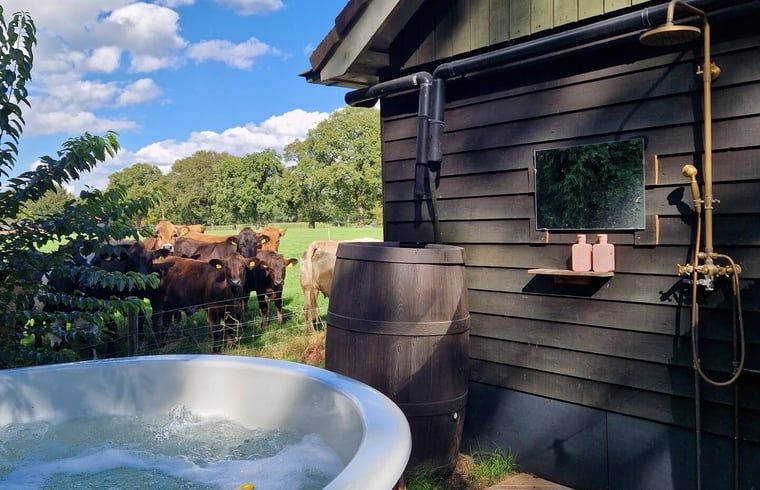 Verblijf 3220139 - Vakantiewoning Veluwe - Vakantiehuis in Putten