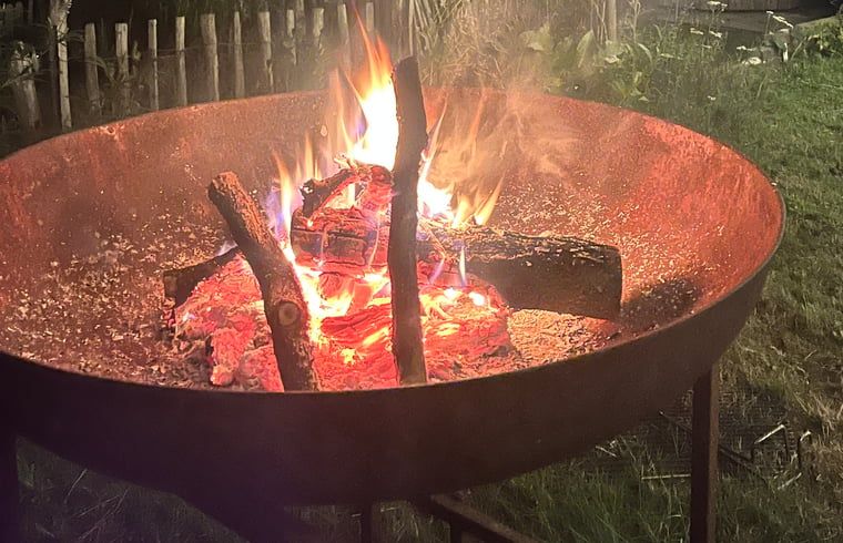 Verblijf 3220139 - Vakantiewoning Veluwe - Vakantiehuis in Putten