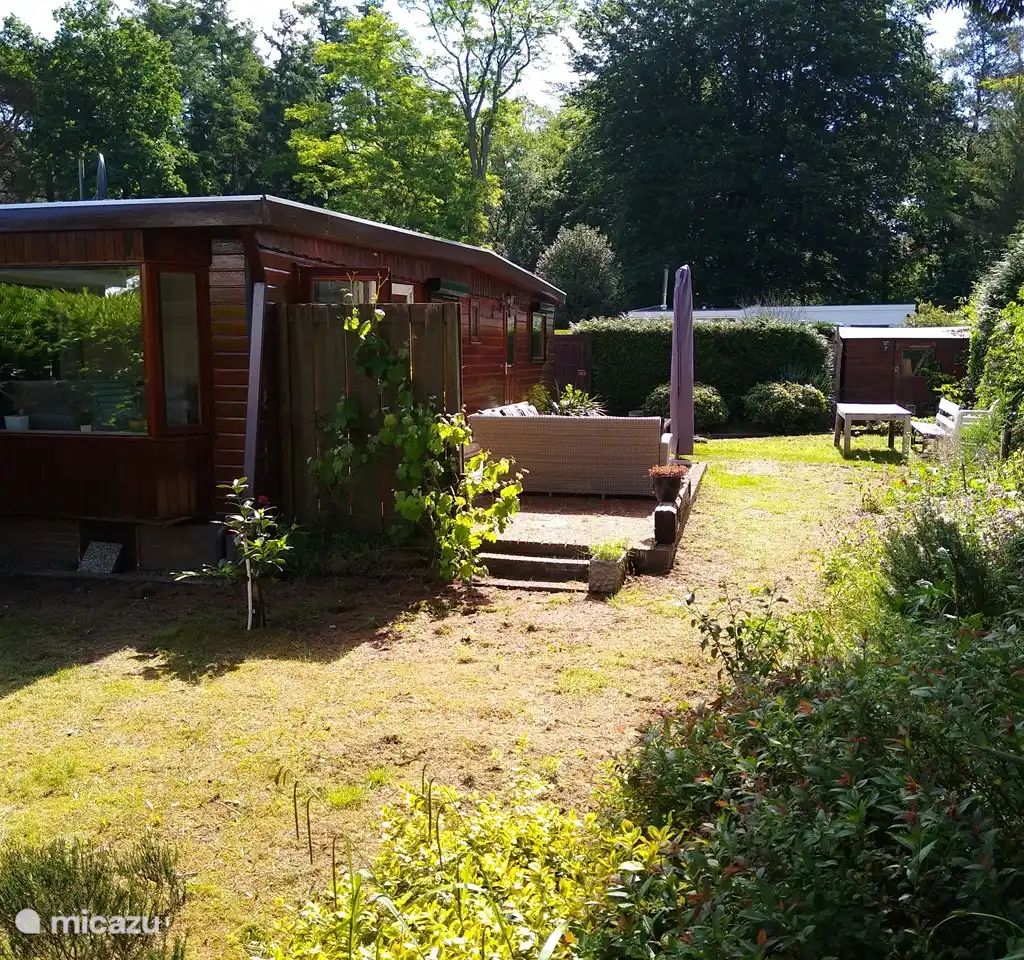 Verblijf 3220199 - Chalet Veluwe - Natuurhuis nabij Schovenhorst