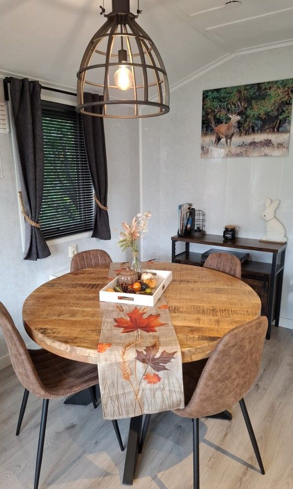 Guest house 3220237 - Chalet Veluwe - Chalet Relax