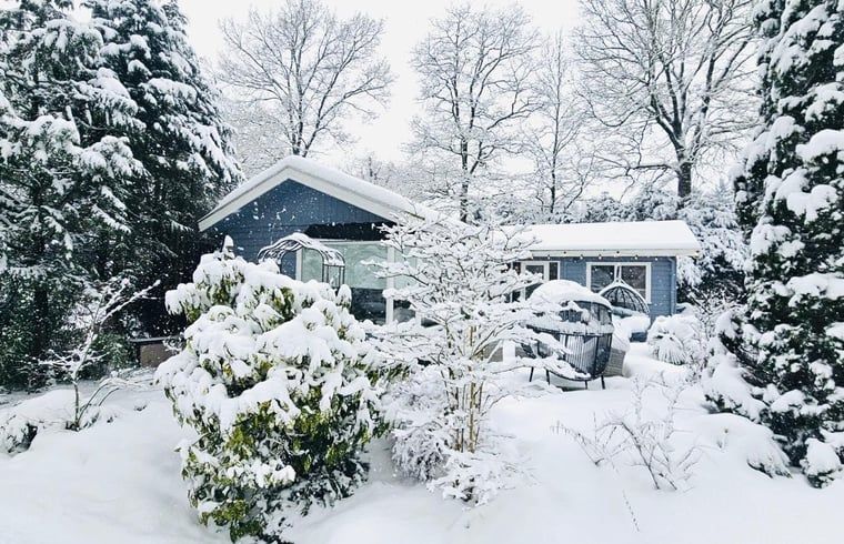 Unterkunft 322023 - Ferienhaus Veluwe - Vakantiehuisje in Putten