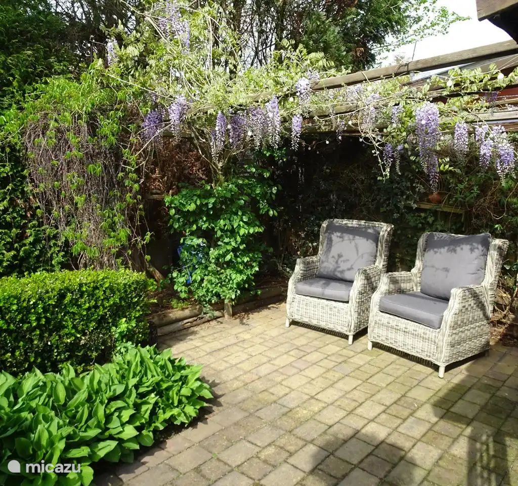 Guest house 3220254 - Chalet Veluwe - Veluwe Park  Reewold Chalet Infinity