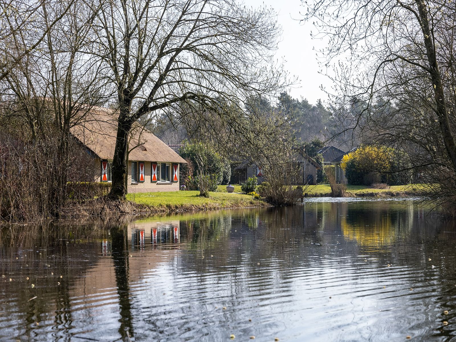 Guest house 3220263 - Holiday property Veluwe - De Veluwse Hoevegaerde 2