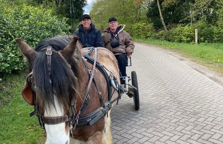 Unterkunft 322035 - Ferienhaus Veluwe - Vakantiehuis in Putten