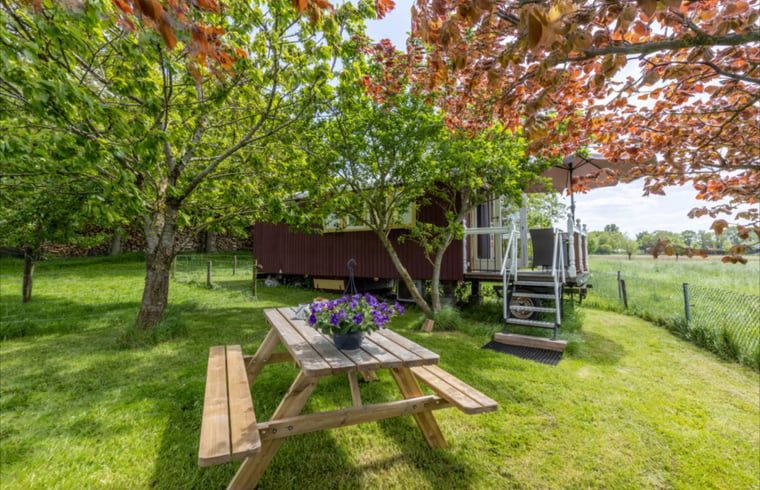 Outdoor area with picnic table at Holiday home in Wezep/Oldebroek, surrounded by nature on the Veluwe.