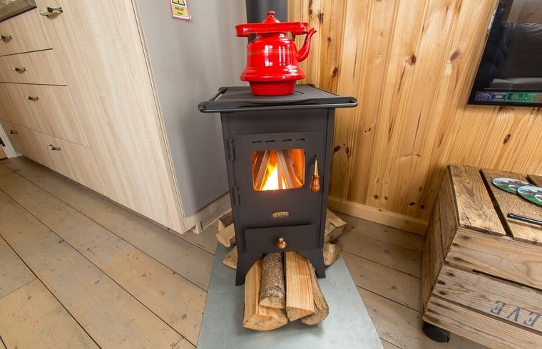 Cozy wood stove in Holiday Home in Wezep/Oldebroek, perfect for a warm evening in the Veluwe.