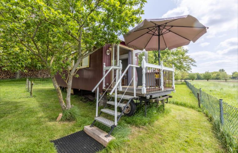 Terrace with parasol at Holiday home in Wezep/Oldebroek, surrounded by the nature of the Veluwe.