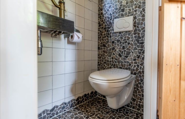 Stylish toilet in Holiday Home in Wezep/Oldebroek, located in the Veluwe.
