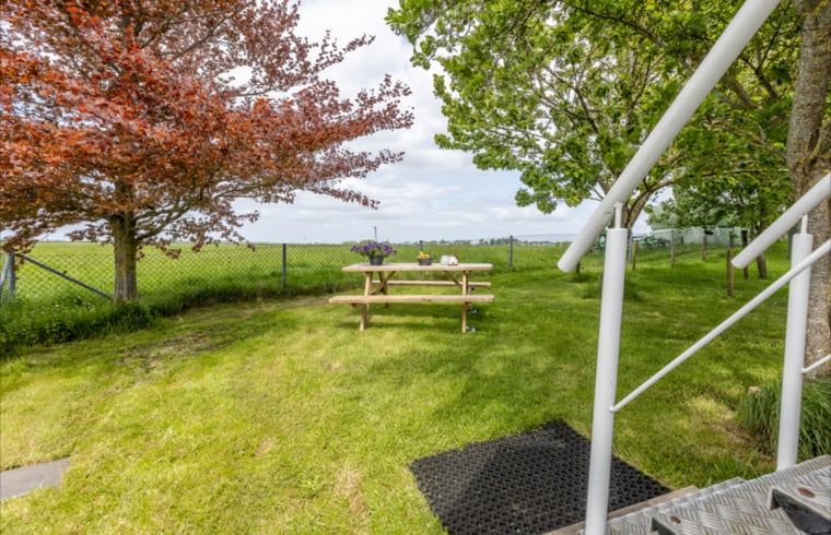 View from the terrace of Holiday home in Wezep/Oldebroek, enjoy the Veluwe nature.