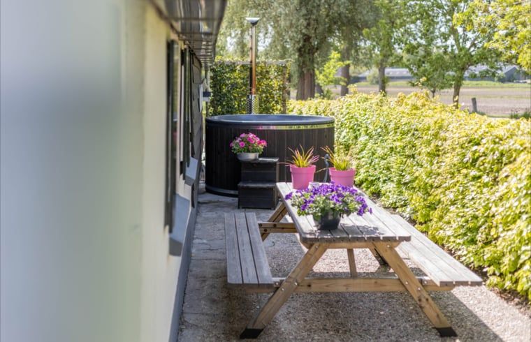 Outdoor area of cottage in Wezep Oldebroek, Veluwe, Gelderland with picnic table and flowers.