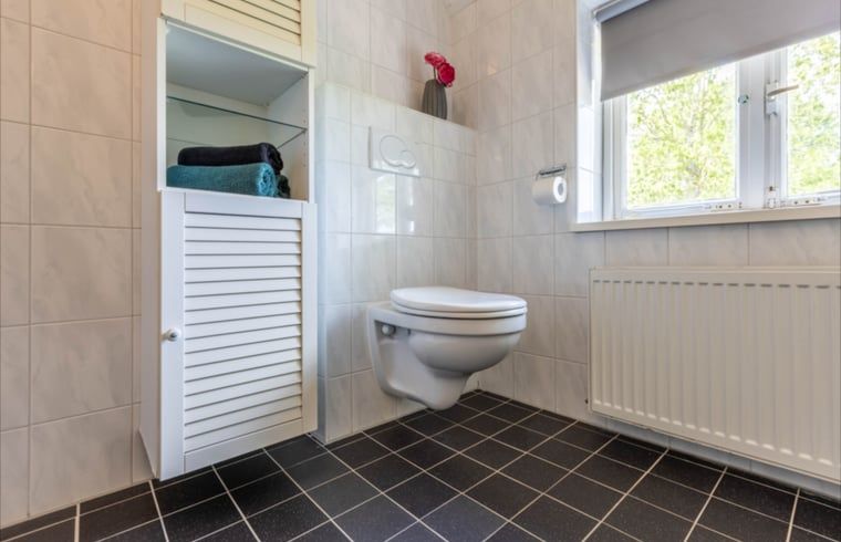 Toilet and storage space in bathroom of Holiday cottage in Wezep Oldebroek, Veluwe, Gelderland.