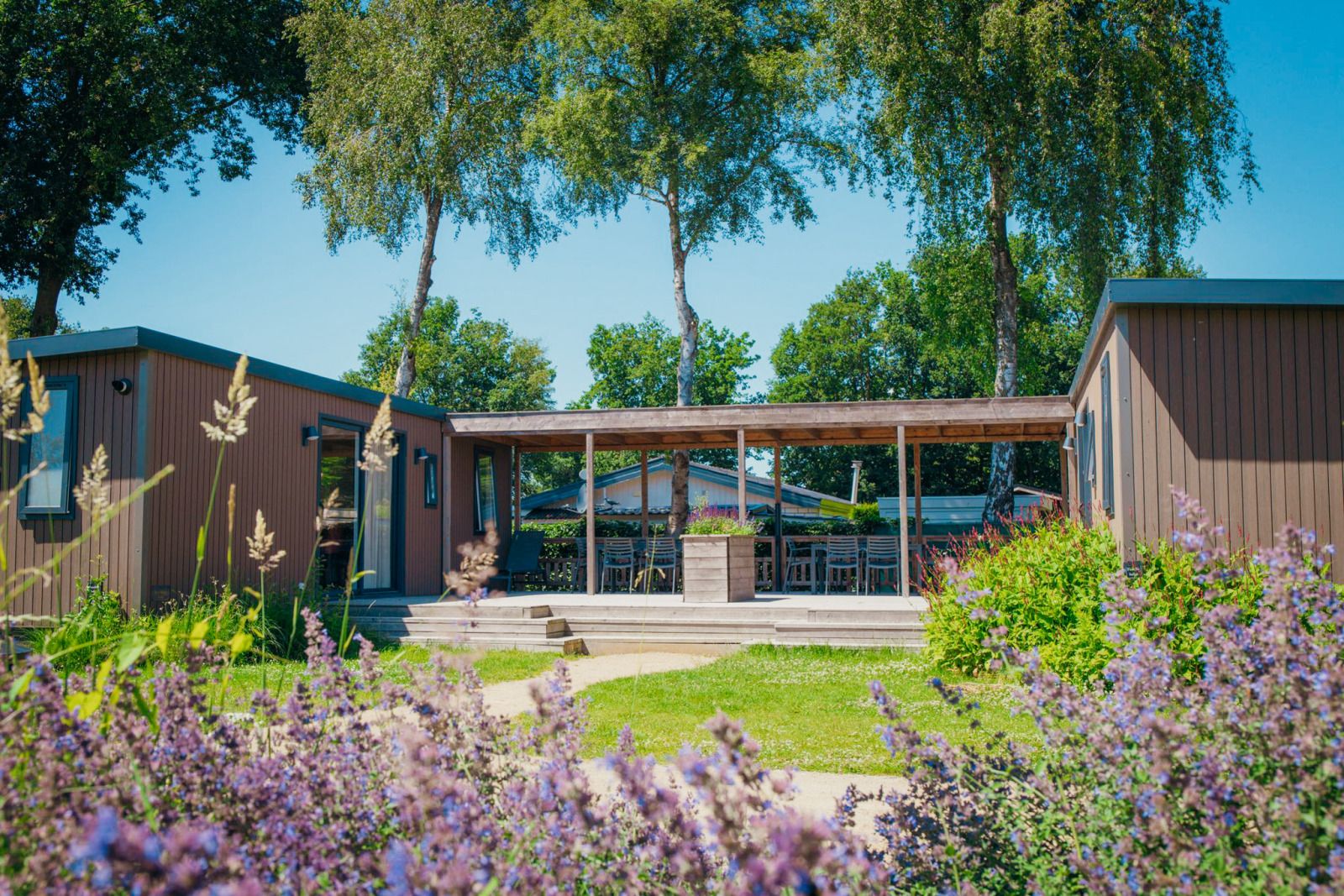 Verblijf 3222109 - Vakantiewoning Veluwe - Familielodge