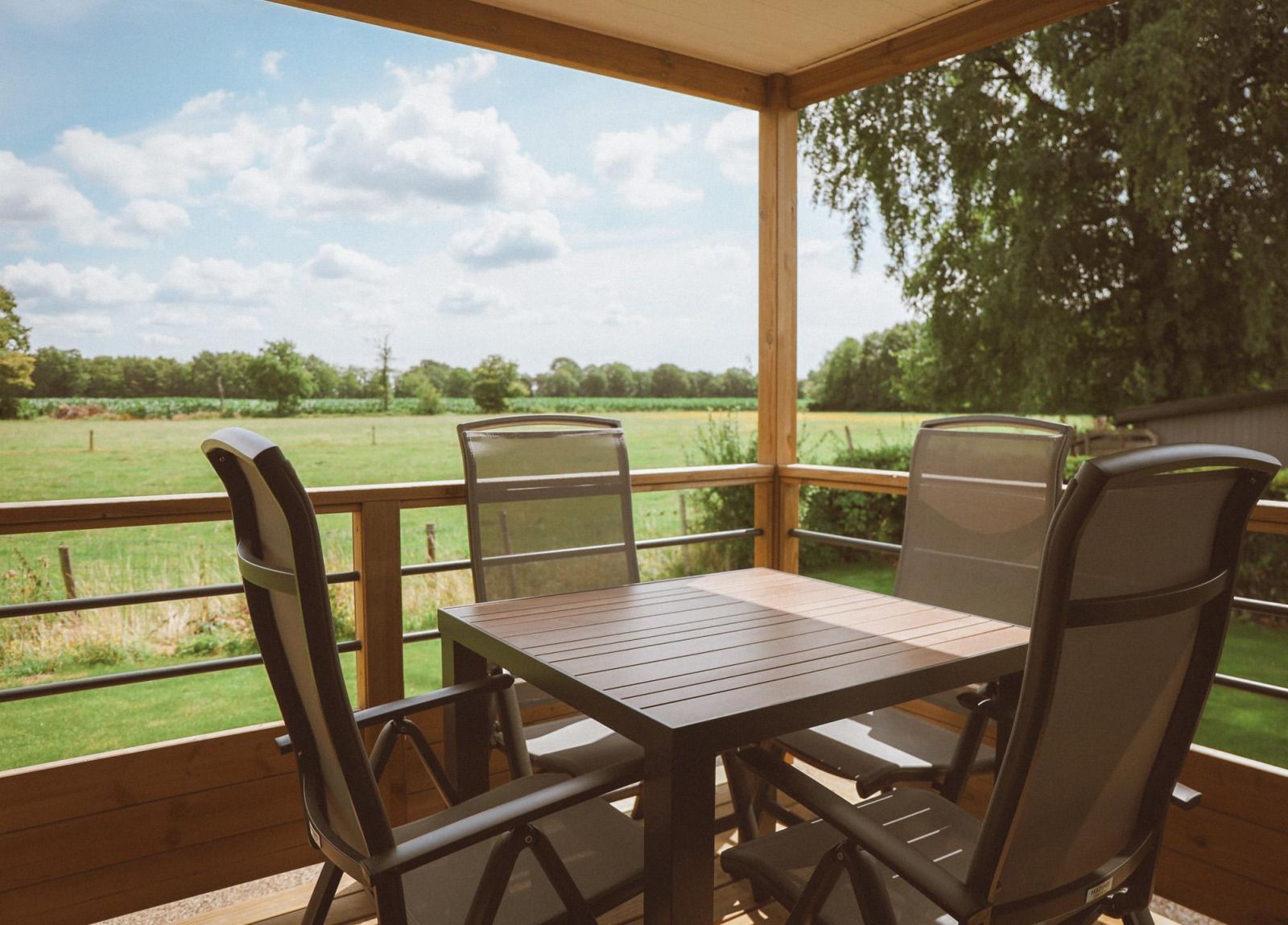 Guest house 3222117 - Holiday property Veluwe - Tiny Lodge