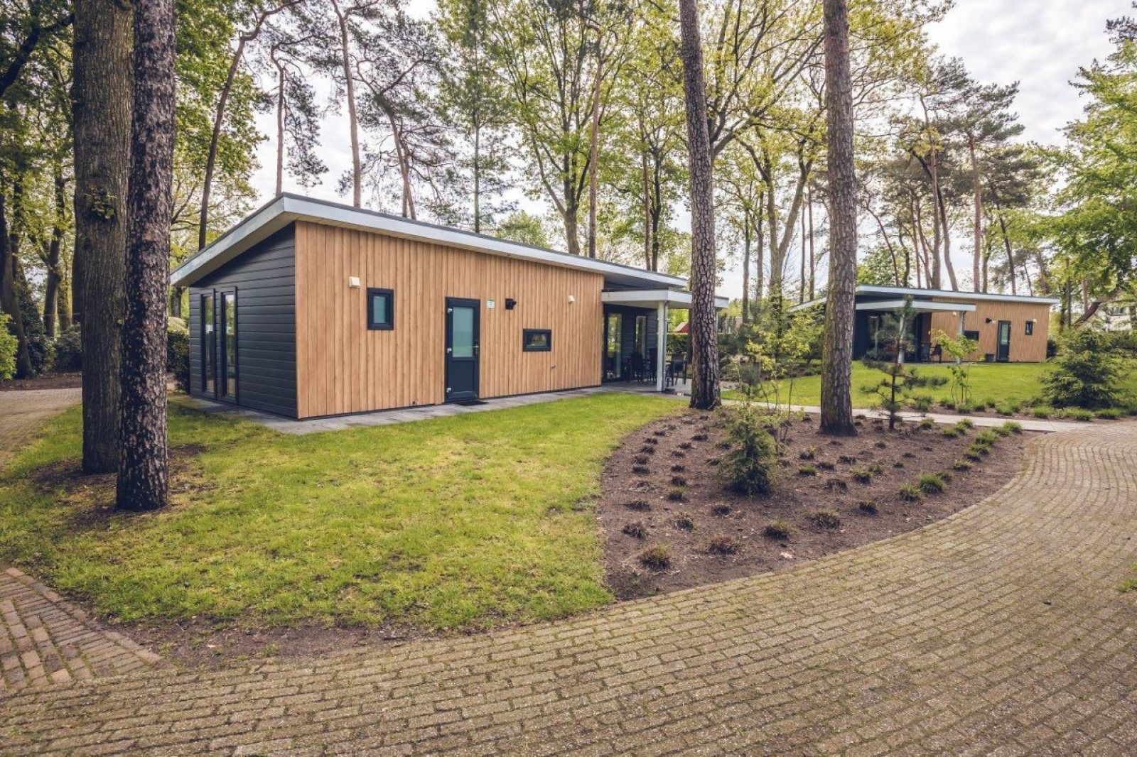 Unterkunft 3222143 - Ferienhaus Veluwe - Bosvilla