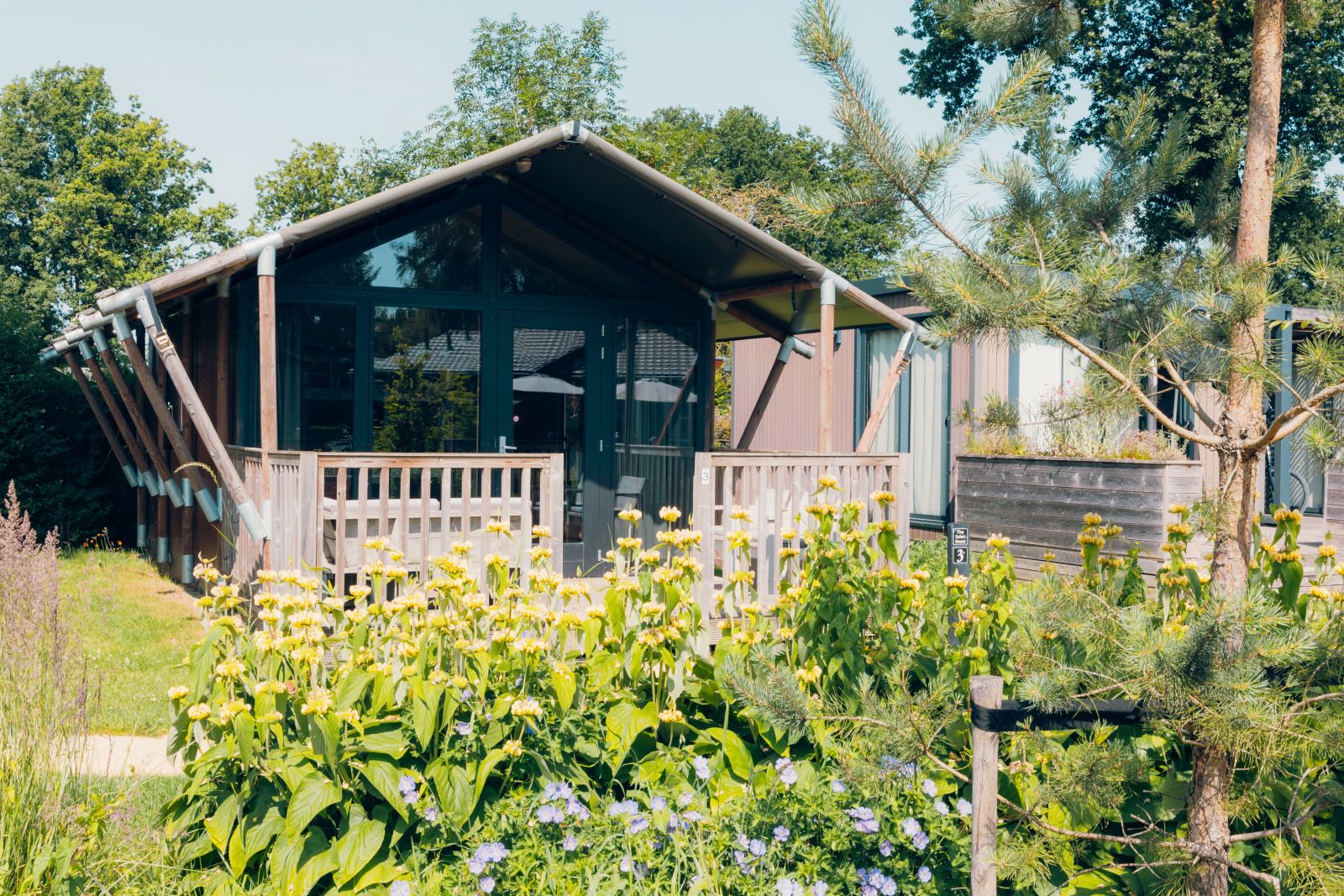 Verblijf 3222167 - Tenthuis Veluwe - Tiny Safari House