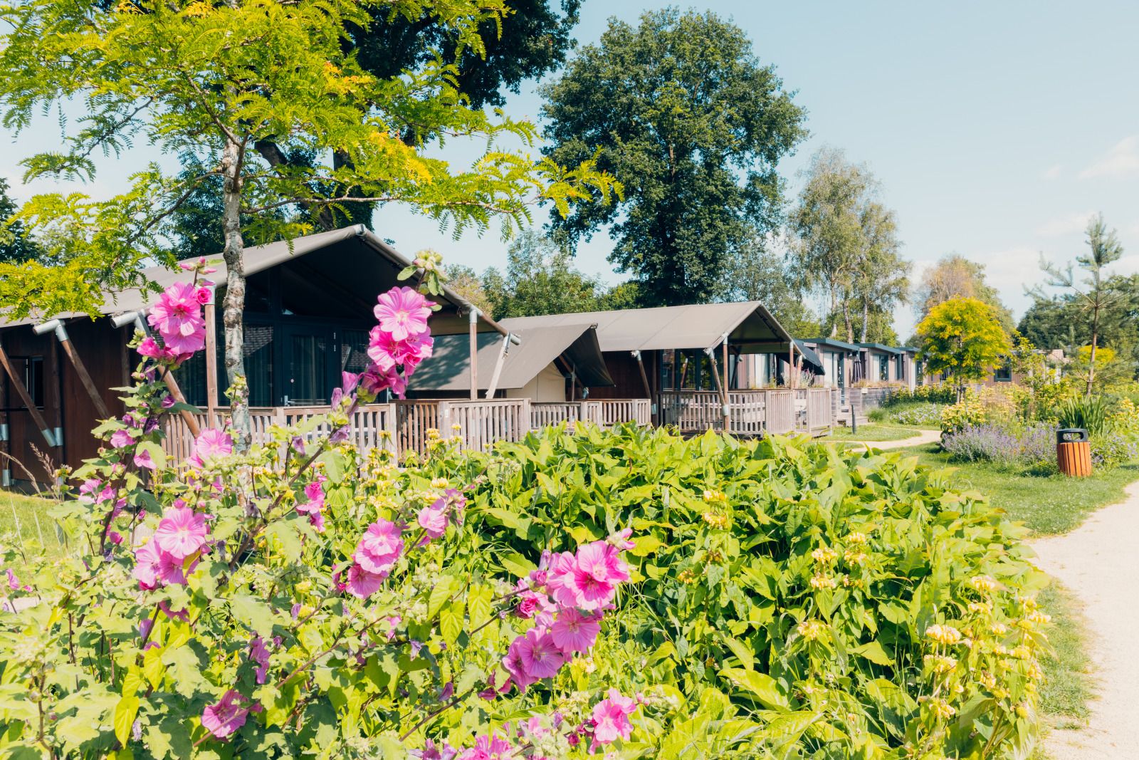 Verblijf 3222167 - Tenthuis Veluwe - Tiny Safari House
