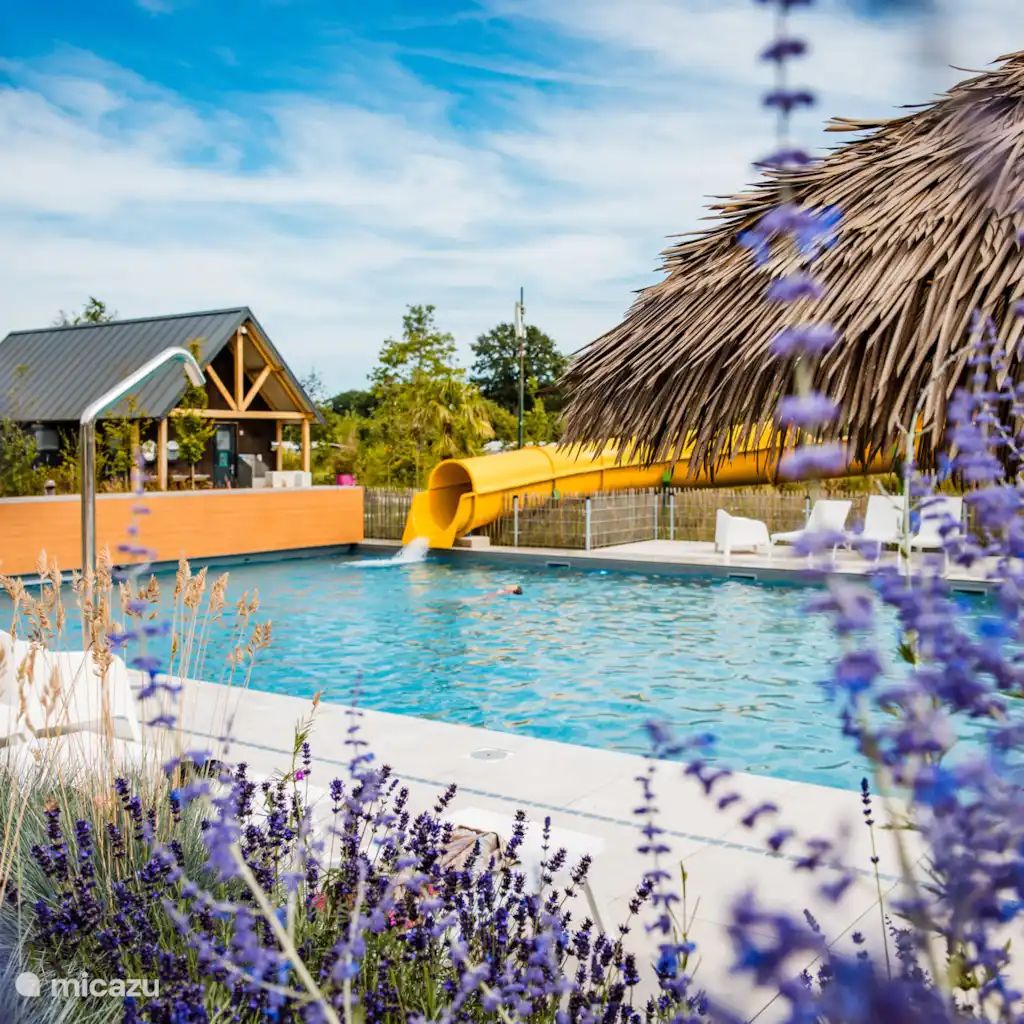 Guest house 3222180 - Chalet Veluwe - Chalet Type F