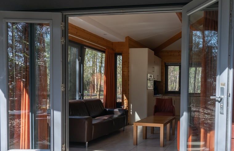 Binnenruimte van Vakantiehuis in Voorthuizen, Veluwe. Gezellige woonkamer met veel lichtinval, ideaal voor ontspanning.