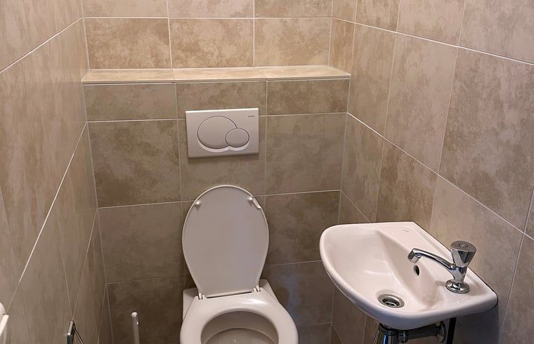 Stijlvolle toiletruimte in Vakantiehuis in Voorthuizen, Veluwe. Comfortabele voorzieningen in Gelderland.