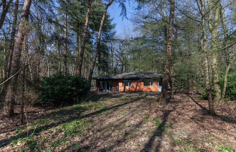 Gemuetlicher Innenbereich des Ferienhauses in Voorthuizen mit Blick auf die Terrasse und das Waldgebiet, gelegen in Veluwe, Gelderland.