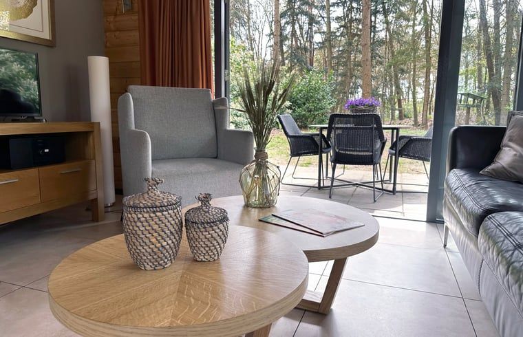 Gemuetliches Wohnzimmer des Ferienhauses in Voorthuizen mit Blick auf die Terrasse und das Waldgebiet, gelegen in Veluwe, Gelderland.