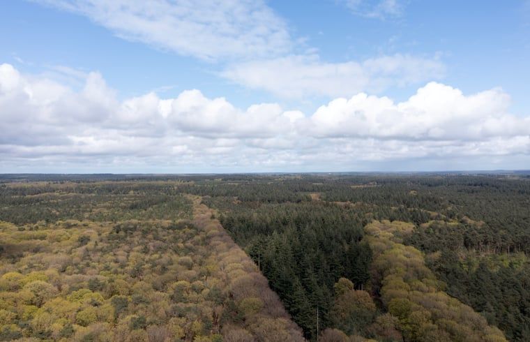 Unterkunft 322222 - Ferienhaus Veluwe - Vakantiehuisje in Voorthuizen