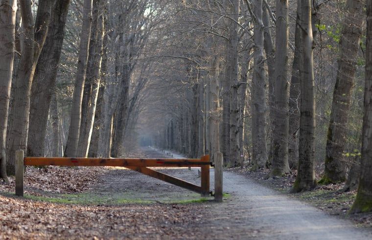 Unterkunft 322222 - Ferienhaus Veluwe - Vakantiehuisje in Voorthuizen
